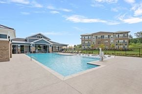 Candler apartment for rent - Custom Saltwater Swimming Pool with Sun Shelf and Inset Seating