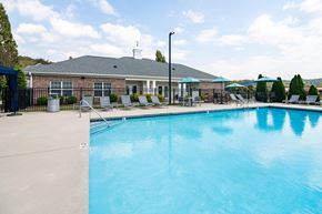 Soddy-Daisy apartment for rent - Sparkling Saltwater Swimming Pool