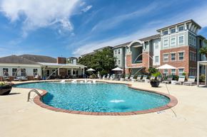 Wilmington apartment for rent - Custom Saltwater Swimming Pool with Sun Shelf and Jets