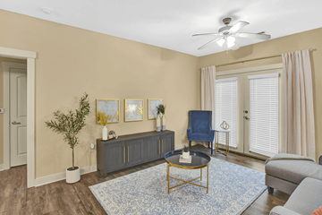 Mobile apartment for rent - A living room with a blue rug and a ceiling fan.