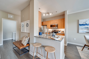 Morrisville apartment for rent - Modern Kitchen with Granite Countertop, Stainless Steel Appliances, and Designer Cabinets
