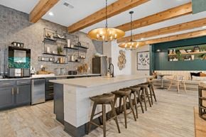 Asheville apartment for rent - modern clubhouse to co work or hangout with friends with coffee bar and large island