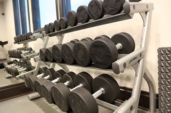 Fitness w/ free weights