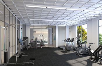 Gym equipment