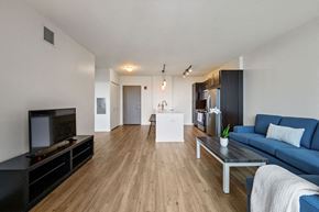 Chicago apartment for rent - a living room with a blue couch and a coffee table at Halsted Flats, Illinois, 60613