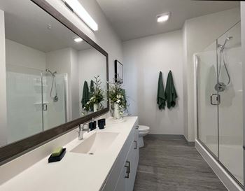 A bathroom with a white countertop and a large mirror
