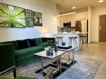 St Francis apartment for rent - A modern living room with a green couch and a coffee table.