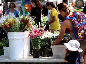 Libertyville apartment for rent - A woman and a child are looking at plants on a table.