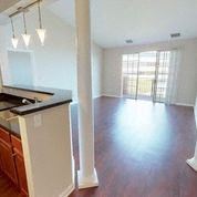 Expansive living room wood floors