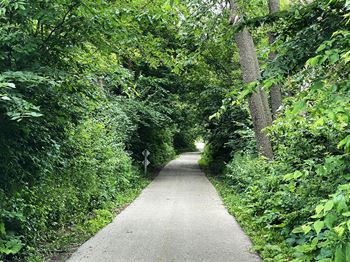 Bike path