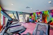Las Vegas apartment for rent - A gym with treadmills and exercise equipment.