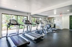 Woodland Hills apartment for rent - Fitness center in Fusion Warner Center apartments in Woodland Hills, CA with cardio machines facing out large sliding glass windows.