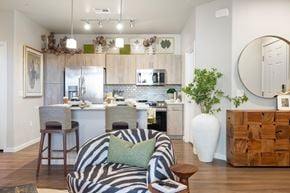 Marana apartment for rent - A modern kitchen with a zebra print chair in the foreground.