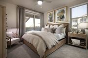 Tucson apartment for rent - A bedroom with a large bed and a ceiling fan.