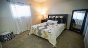 Tucson apartment for rent - A bedroom with a bed, lamp, and window.