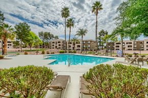 Tucson apartment for rent - a swimming pool with palm trees and buildings in the background