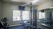 Tucson apartment for rent - A gym with a treadmill, weights, and exercise equipment.