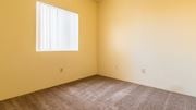 Tucson apartment for rent - Spacious master bedroom with large window and brown carpet