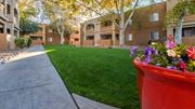 Tucson apartment for rent - Tanglewood outside view with nice lush landscape throughout