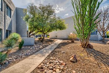 Courtyard with lush landscape