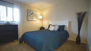 Tucson apartment for rent - A bedroom with a blue bedspread and a black floor lamp.