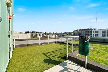 Rooftop dog run