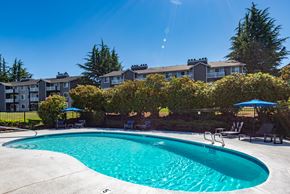 Olympia apartment for rent - A swimming pool surrounded by a fence and trees.