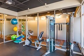 Sammamish apartment for rent - A gym with a treadmill, weights, and exercise balls.