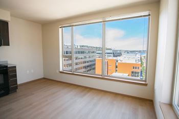 Extra large windows
