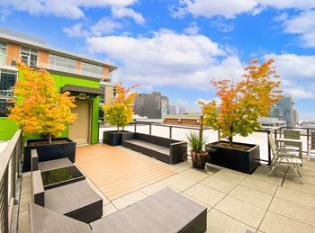 Rooftop