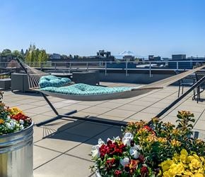 Seattle apartment for rent - Beryl apartments Seattle - incredible rooftop deck