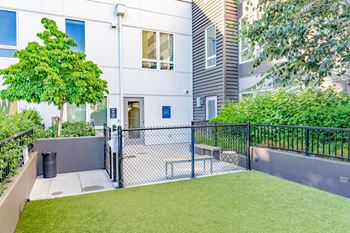 Outdoor dog run