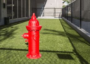 Kent apartment for rent - a red fire hydrant sitting in the grass