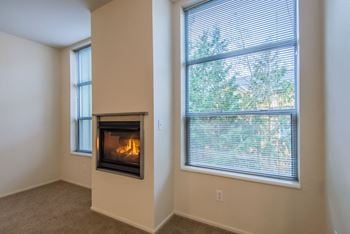 Gas fireplace*