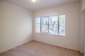 Sammamish apartment for rent - a bedroom with a large window and a carpeted floor
