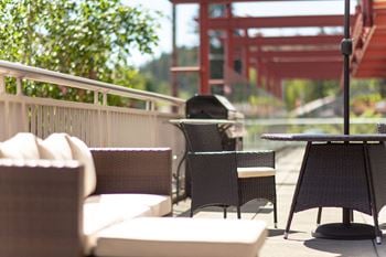 Sundeck with barbecue