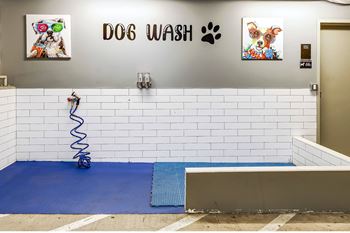 Pet washing station