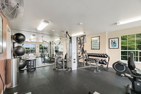 Lynnwood apartment for rent - the gym with weights and cardio equipment at the preserve at greatstone