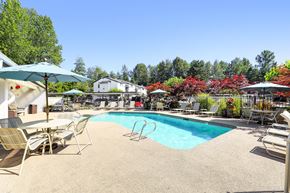 Kent apartment for rent - a swimming pool with chairs and umbrellas next to a resort style pool