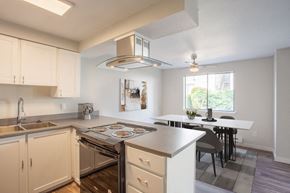Portland apartment for rent - a kitchen with a stove and a sink and a window