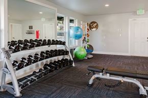 Bremerton apartment for rent - A gym with a mirror, weights, and exercise balls.