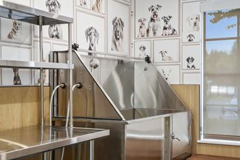 Pet wash station