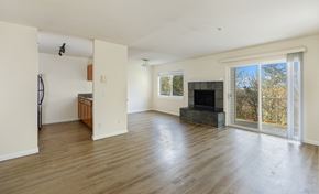 Burien apartment for rent - A living room with a fireplace and sliding glass doors.