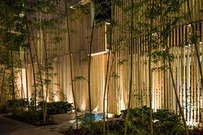 Portland apartment for rent - a bamboo wall at night with trees and plants
