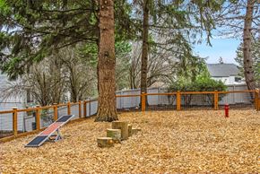 Renton apartment for rent - A playground with a slide, a tree, and a red fire hydrant.