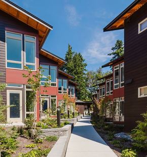 Bainbridge Island apartment for rent - A long white walkway leads between two rows of modern houses.