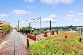Seattle apartment for rent - a roof terrace with wooden planters and grass