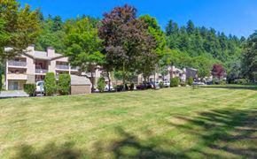 Kent apartment for rent - A grassy field with trees and apartment buildings in the background.