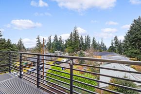 Kirkland apartment for rent - the view from the deck of a rooftop garden with trees