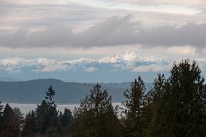 Seattle apartment for rent - a view of the snow covered mountains in the distance with trees in the foreground